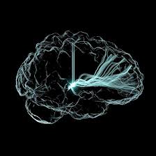 Mental Health Discipline and Consistency